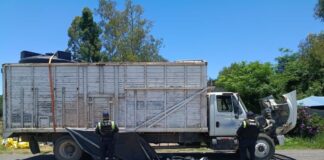 Asegura PEC 10 mil litros de hidrocarburo en Pénjamo